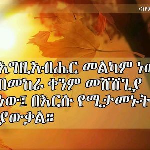 Meet your Posher, Megersa